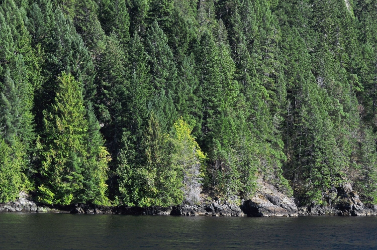 inlet scenery